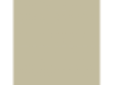 Beach Dune: PPG1112-4
