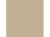 Beige Tellin: PPG15-31