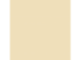 Belgian Waffle: PPG1208-3
