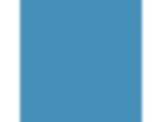 Bellflower: PPG1237-6