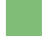 Bermuda Grass: PPG1225-6