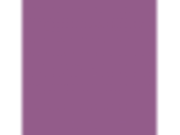 Bermuda Onion: PPG1252-7