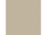 Best Beige: PPG1085-4