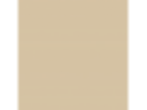 Birch Beige: PPG1094-3
