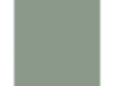 Birch Forest: PPG1134-5