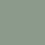 Birch Forest: PPG1134-5