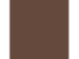 Bird House Brown: PPG1072-7