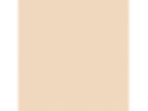 Bisque: PPG1197-3