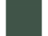 Black Spruce: PPG1137-7