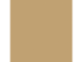 Bleached Maple: PPG1089-5