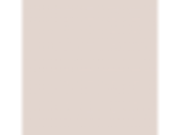 Blossom Pink: PPG1016-2
