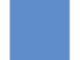 Blue Dart: PPG1243-5