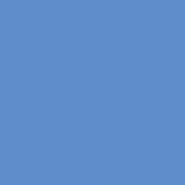 Blue Dart: PPG1243-5