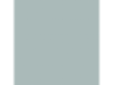 Blue Willow: PPG1145-4
