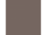 Bold Brandy: PPG1017-6