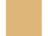 Bold Butterscotch: PPG12-08