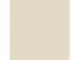 Bone White: PPG1085-2
