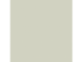 Brainstorm: PPG1030-1