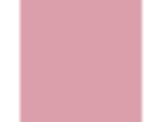 Brandywine: PPG1183-4