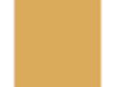 Brass Mesh: PPG1209-6