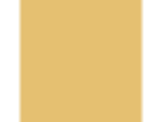 Bright Idea: PPG1210-5