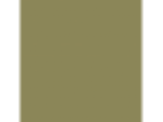 Bronze Green: PPG1114-6