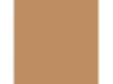 Broomstick: PPG16-19