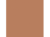 Brown Clay: PPG1199-6