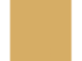 Brown Mustard: PPG1208-5