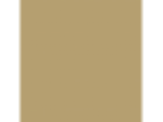 Buffalo Hide: PPG1105-6