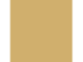 Butterscotch Bliss: PPG1106-5