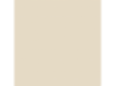 Camel Tan: PPG12-13