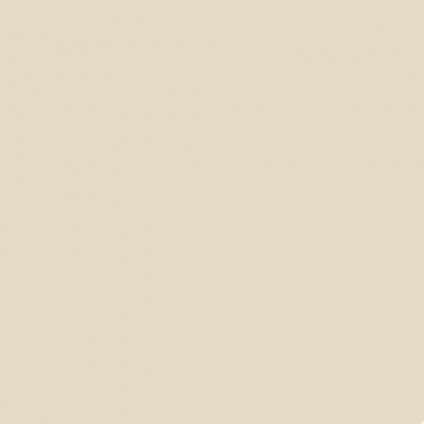 Camel Tan: PPG12-13