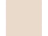Canyon Peach: PPG1070-1