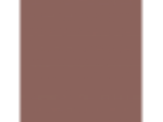 Canyon Stone: PPG1059-6