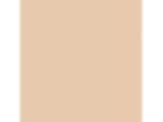 Caramel Ice: PPG1202-4