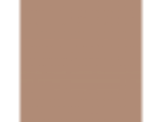 Caramel Sugar: PPG16-05