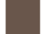 Caramelized Walnut: PPG1074-6