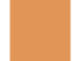 Carmelized Orange: PPG1197-7