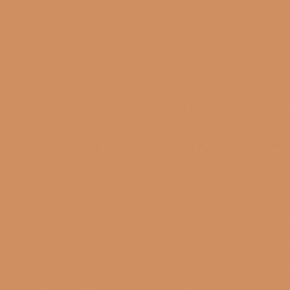 Carrot Cake: PPG1198-5