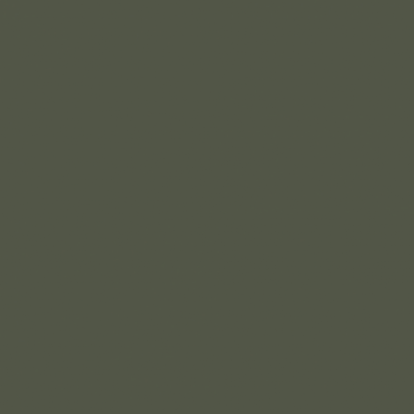 Castle Stone: PPG1128-7