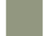 Cavern Moss: PPG1124-5