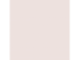 Chantilly Lace: PPG1065-1