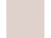 China Silk: PPG1060-2
