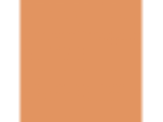 Chinese Lantern: PPG1196-6