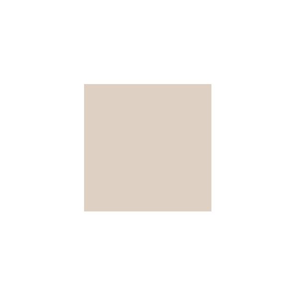 Dhurrie Beige SW7524 Paint by SherwinWilliams