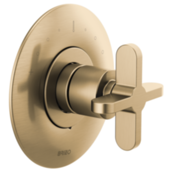 ODIN® Sensori® Thermostatic Valve Trim - T66T075