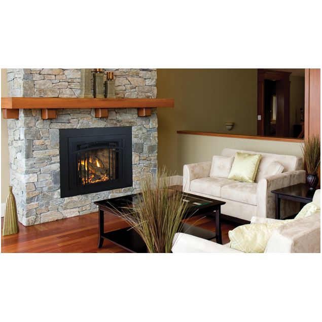 Madison Park™ Gas Inserts Fireplace