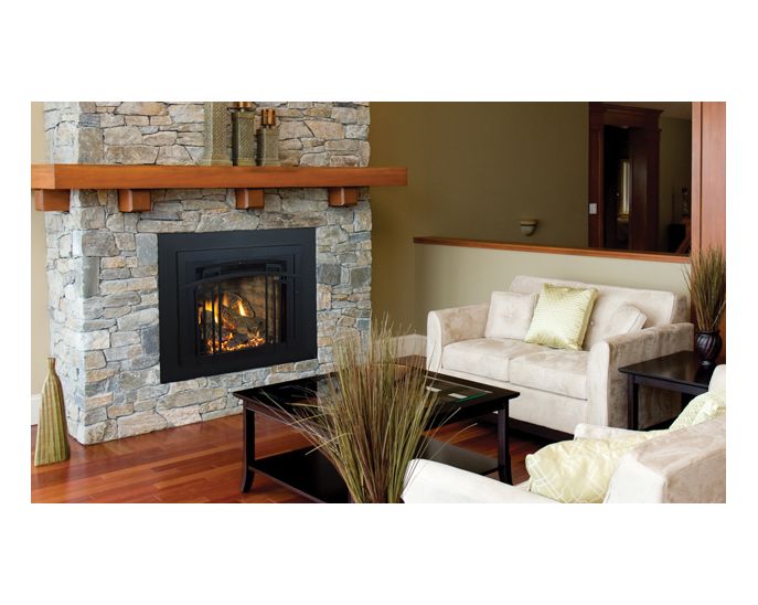 Madison Park™ Gas Inserts Fireplace